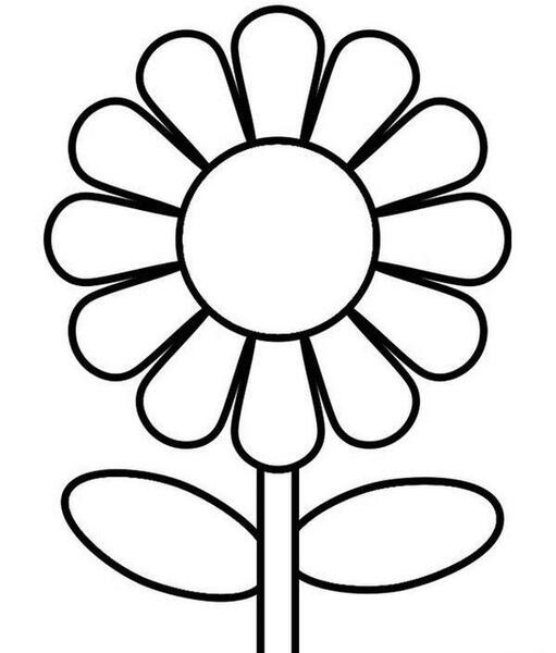عکس گل خام برای نقاشی