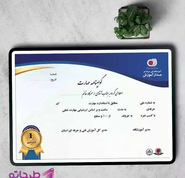 عکس کارت گواهینامه خام