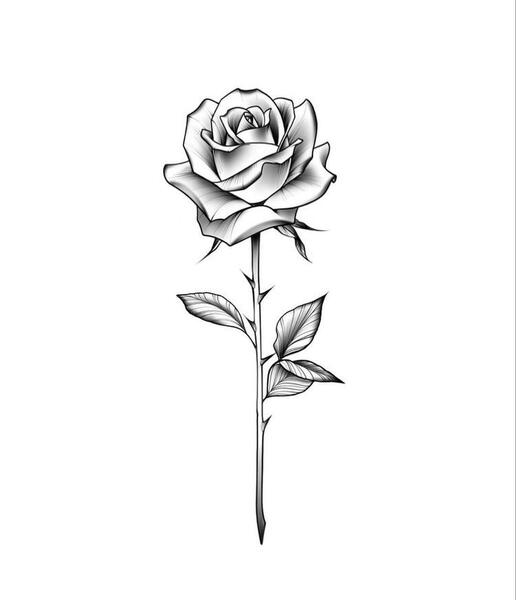 عکس خام قلب برای تاتو