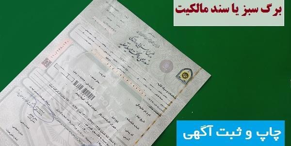 عکس برگه سبز خام