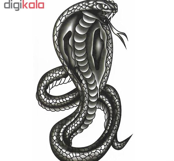 عکس تاتو مار خام
