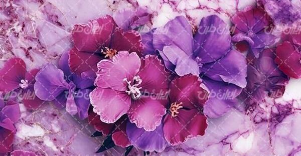 عکس یاسی برای پس زمینه