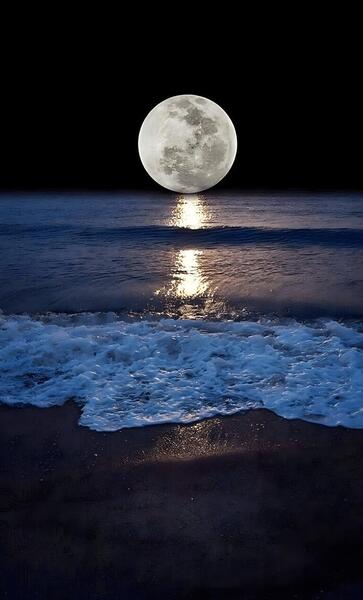 عکس پس زمینه شب مهتابی
