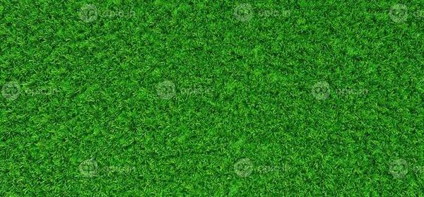 عکس چمن برای پس زمینه