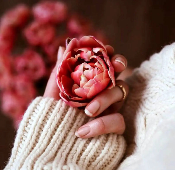 عکس پس زمینه و پروفایل