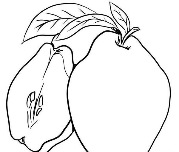 عکس نقاشی میوه های فانتزی