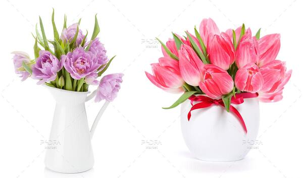 عکس با کیفیت گل لاله