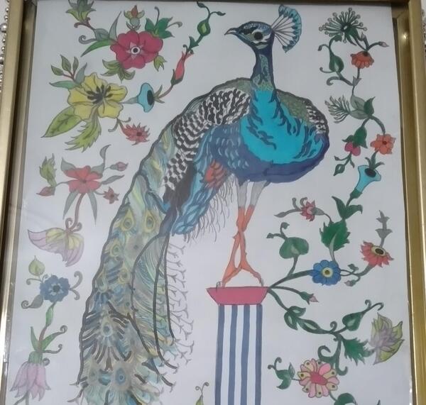 عکس نقاشی با دست طاووس