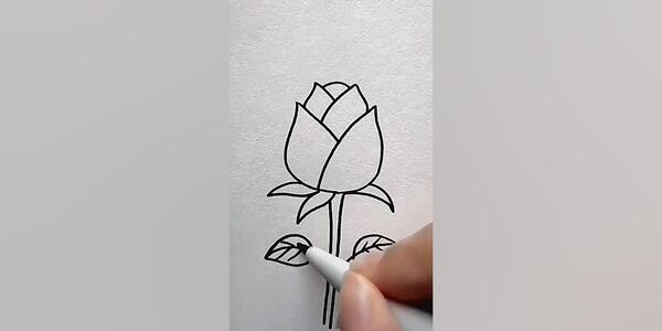 عکس نقاشی گل لاله قرمز