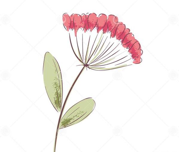 عکس نقاشی گل لاله قرمز