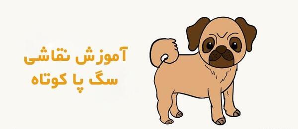 عکس نقاشی روی صورت سگ