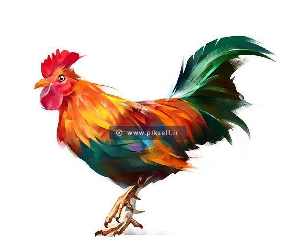 عکس نقاشی خروس رنگی