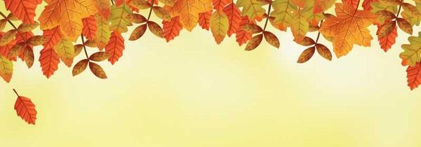 عکس پس زمینه پاییزه