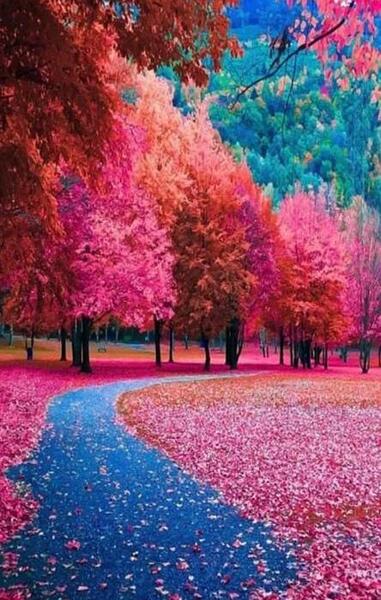 عکس پس زمینه پاییزی جدید