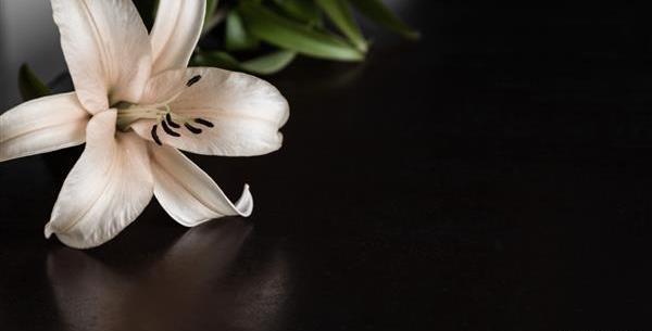 عکس پس زمینه پیام تسلیت