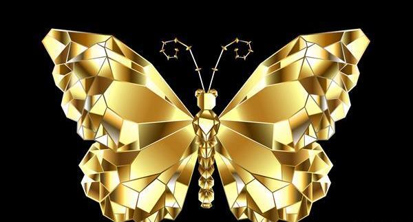 عکس پس زمینه پروانه سیاه