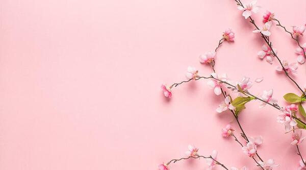 عکس پس زمینه پاورپوینت گل