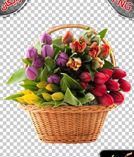 عکس گل لایه باز رایگان