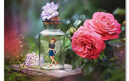 عکس گل لایه باز رایگان