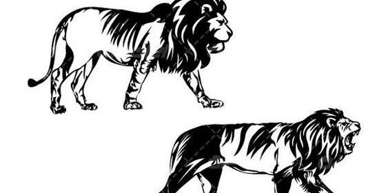 عکس وکتور