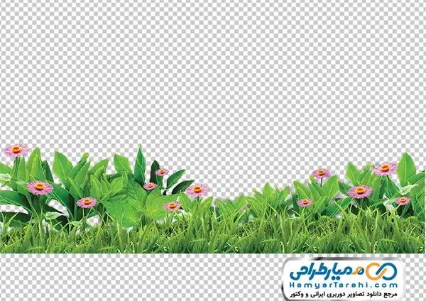 عکس وکتور چمن