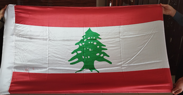عکس پرچم فلسطین و لبنان