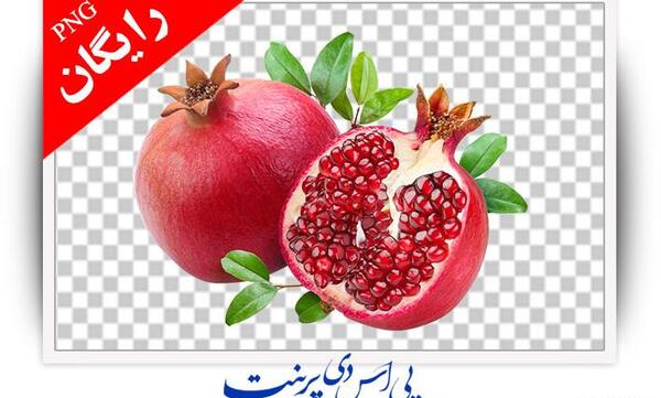 عکس دانلود وکتور رایگان انار