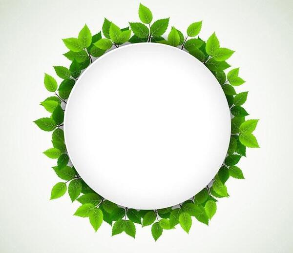 عکس دانلود وکتور حاشیه دایره