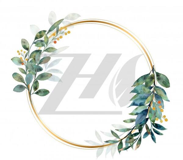 عکس دانلود وکتور حاشیه دایره
