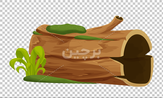 عکس دانلود وکتور تنه درخت