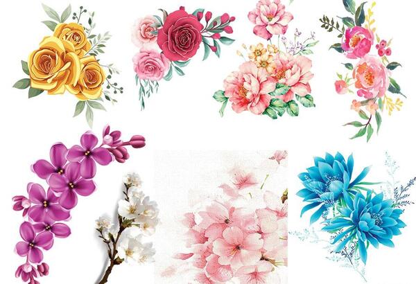 عکس دانلود وکتور گل برای حاشیه