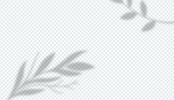 عکس دانلود وکتور برگ برای فتوشاپ