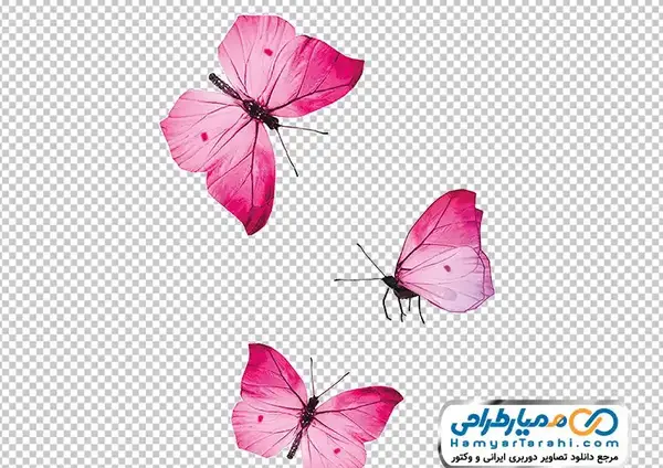 عکس دانلود وکتور پروانه کارتونی