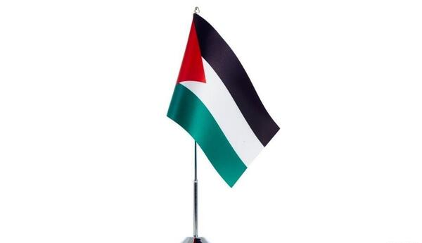 عکس دانلود وکتور پرچم فلسطین