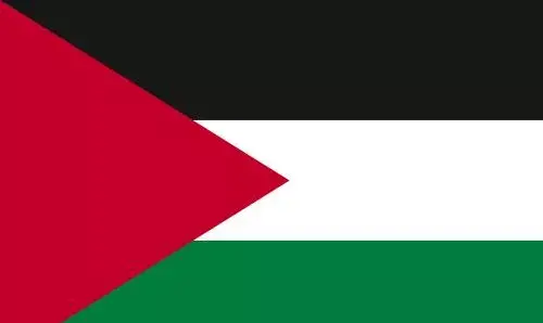 عکس دانلود وکتور پرچم فلسطین
