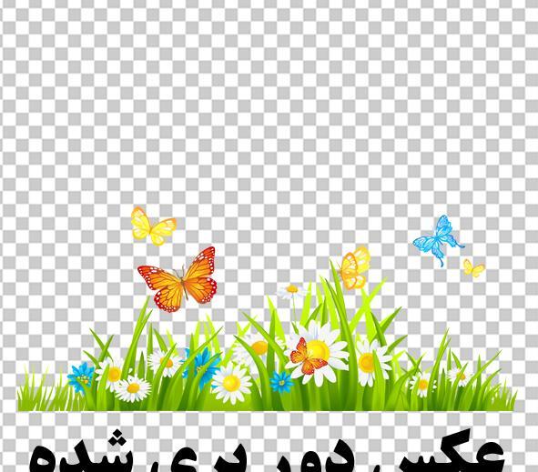 عکس دانلود وکتور گل و پروانه