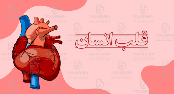 عکس تصویر زمینه قلب انسان