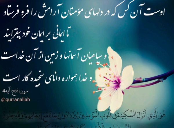 عکس پروفایل نفرین قرانی