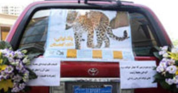 عکس ماشین یوزپلنگ