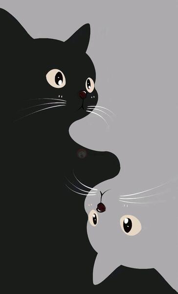 عکس پس زمینه سیاه کیوت