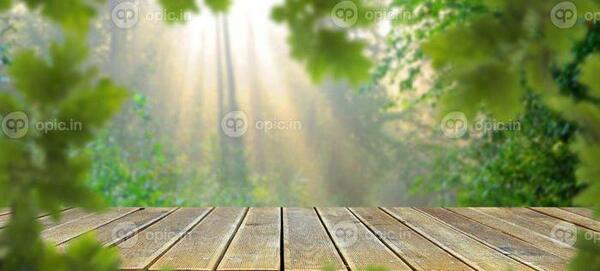 پس زمینه طبیعی برای عکس