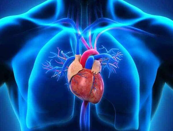عکس پس زمینه قلب واقعی