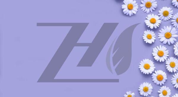 عکس پس زمینه گل بابونه