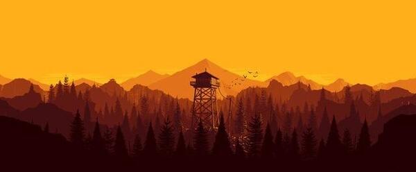 عکس پس زمینه ی نارنجی
