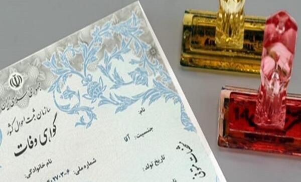 ایده عکس با شناسنامه نوزاد