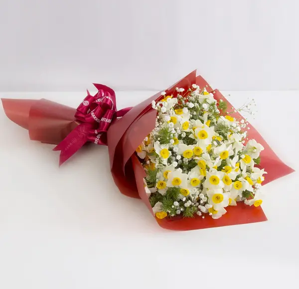 ایده عکس با گل نرگس