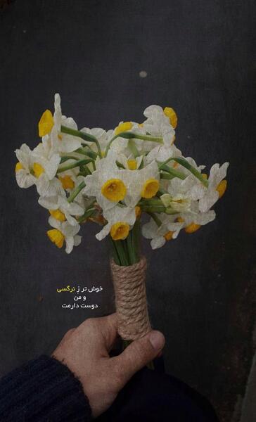 ایده عکس با گل نرگس