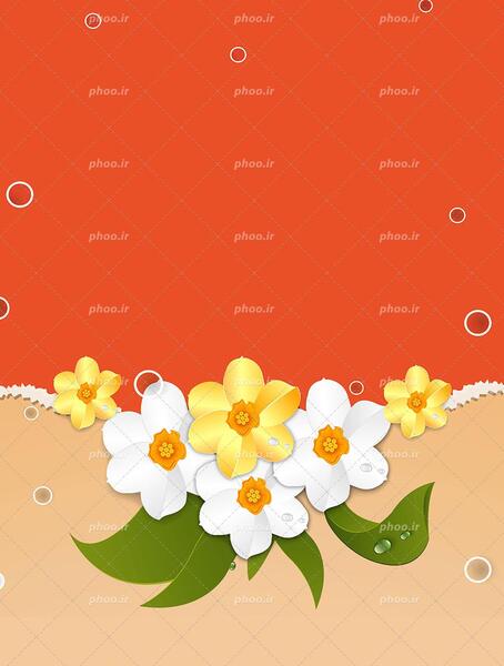 عکس با پس زمینه نارنجی