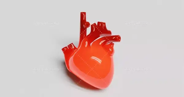 عکس پس زمینه قلب انسان