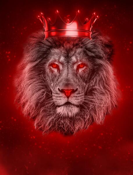 عکس پس زمینه شیر پرسپولیس
